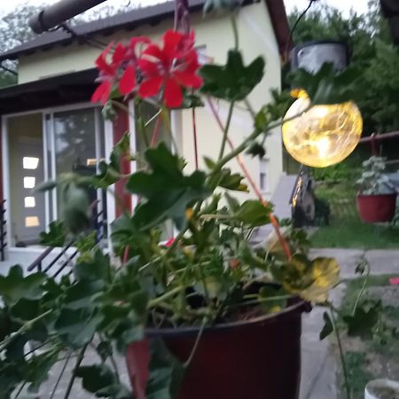 Lux Snezana Apartment Vrdnik Bagian luar foto