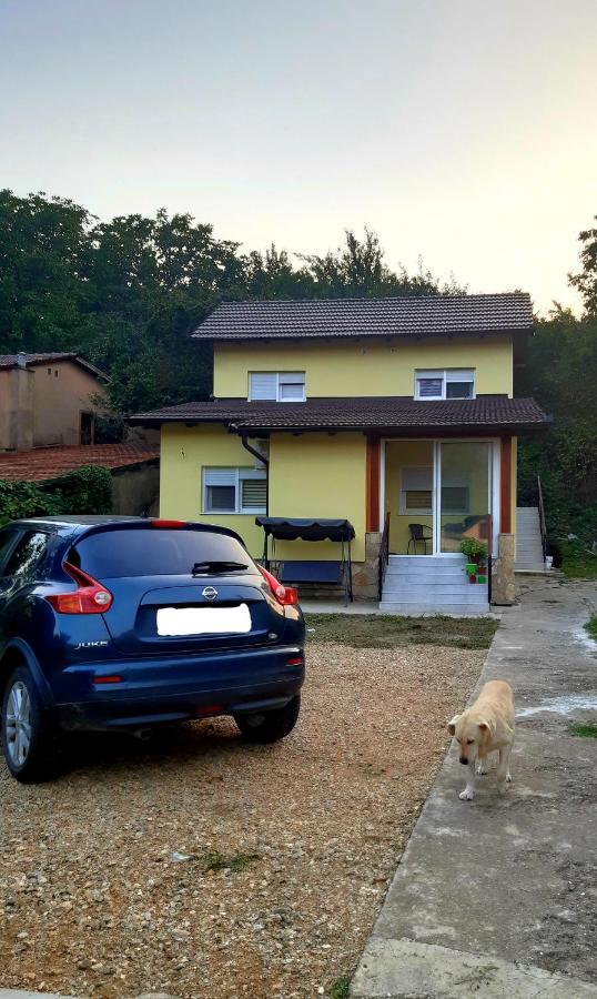 Lux Snezana Apartment Vrdnik Bagian luar foto