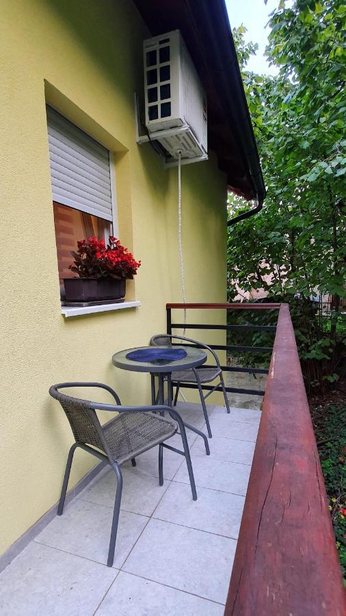 Lux Snezana Apartment Vrdnik Bagian luar foto